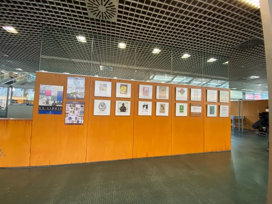 exposició biblioteca montilivi