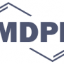 MDPI taller accés obert