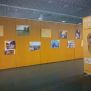 Exposició biblioteca del campus Montilivi