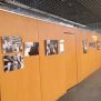 Exposició biblioteca del campus Montilivi