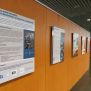 Exposició biblioteca del campus Montilivi