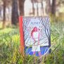 Aquí fem llibres