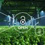 Open access