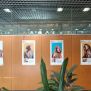 Exposició biblioteca del campus Montilivi