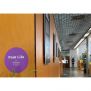 Punts liles biblioteques